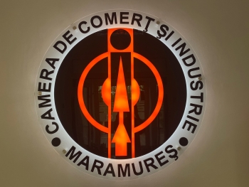 CCIMM