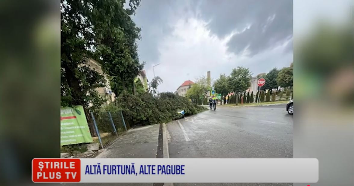 ALTĂ FURTUNĂ, ALTE PAGUBE