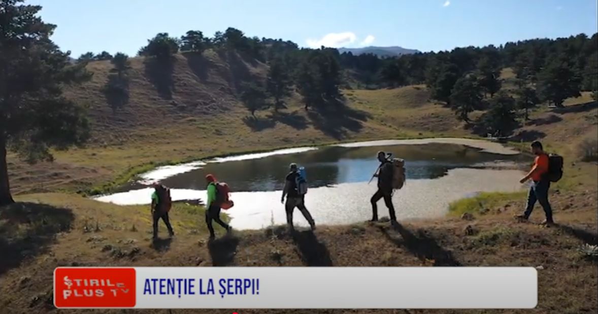 ATENȚIE LA ȘERPI!