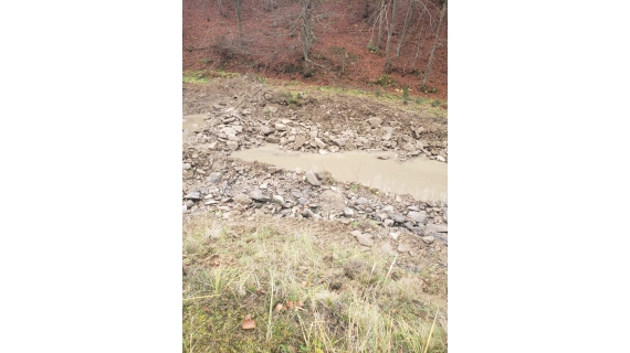 SC Vital - Transportul/exploatarea de masă lemnoasă generează probleme în furnizarea apei potabile în orașul Târgu Lăpuș și satele aparținătoare