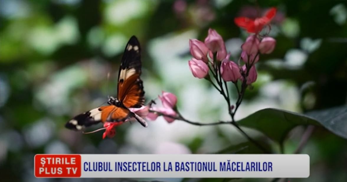 ȘTIRI PE SCURT 22 IULIE