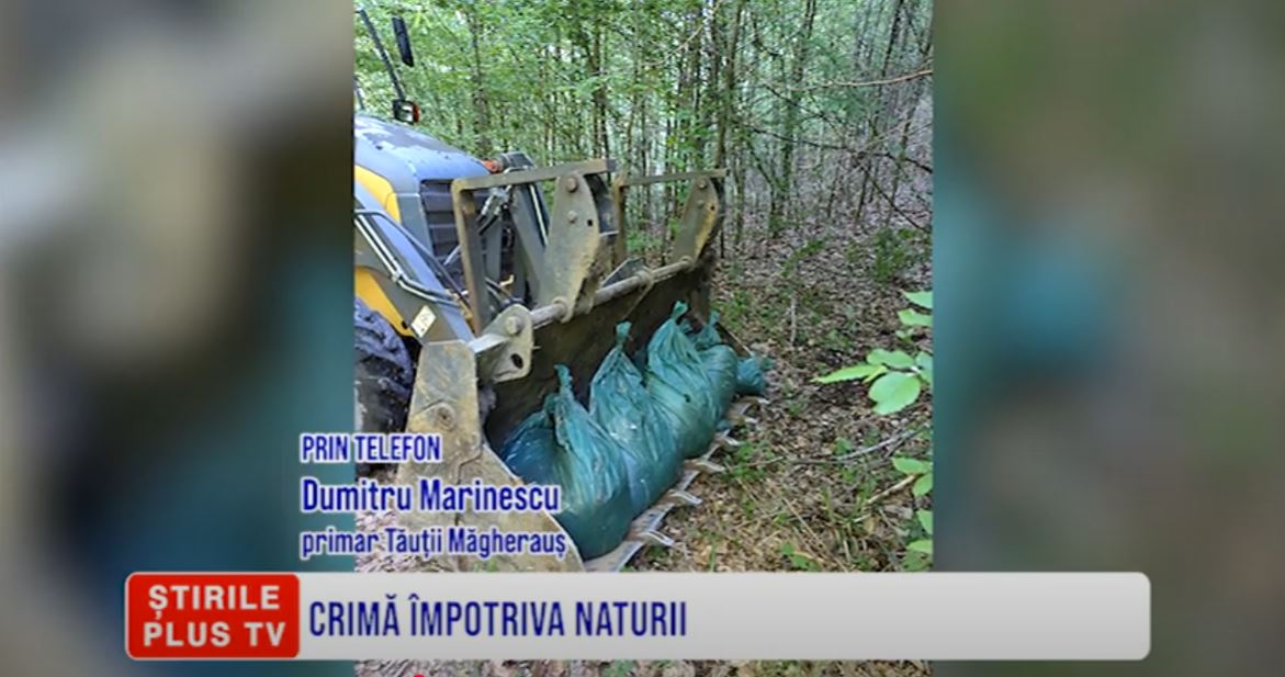 CRIMĂ ÎMPOTRIVA NATURII