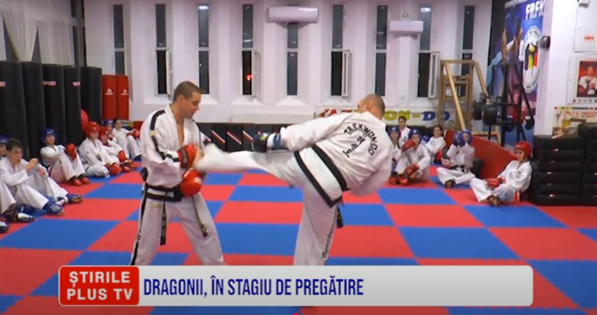 DRAGONII, ÎN STAGIU DE PREGĂTIRE