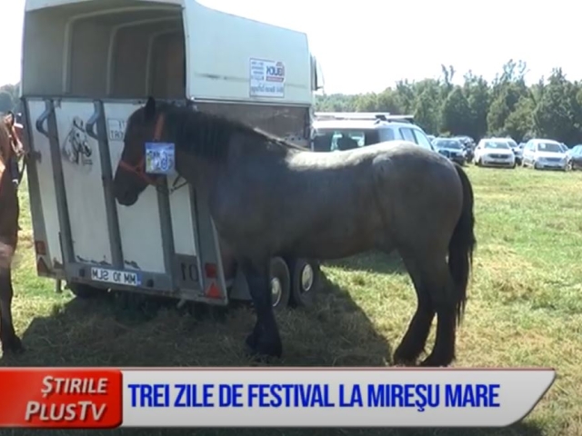 ȘTIRI PE SCURT 22 IUNIE