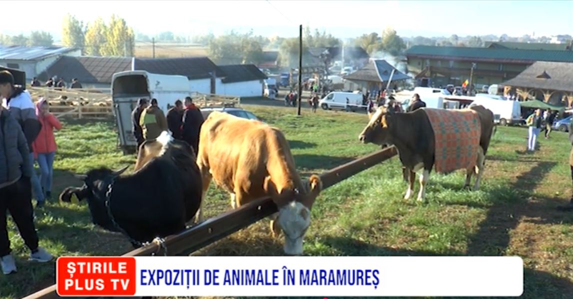 EXPOZIȚII DE ANIMALE ÎN MARAMUREȘ