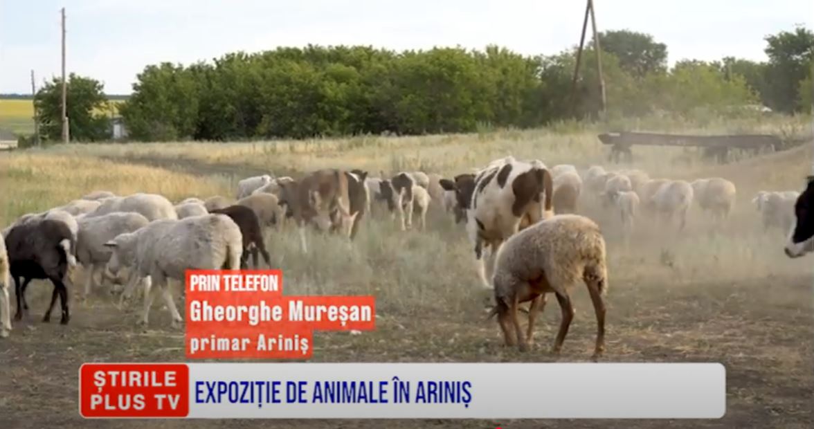 EXPOZIȚIE DE ANIMALE ÎN ARINIȘ