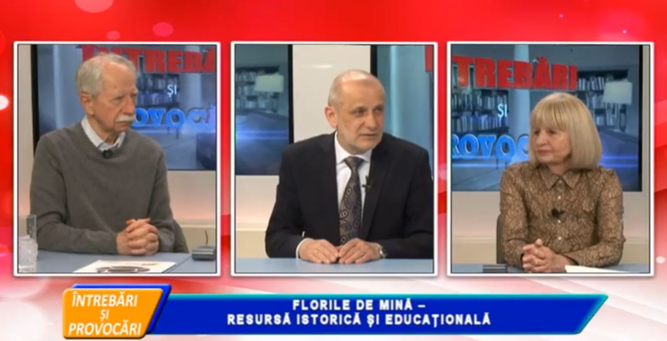 ÎNTREBĂRI ȘI PROVOCĂRI - FLORILE DE MINĂ, RESURSĂ ISTORICĂ ȘI EDUCAȚIONALĂ