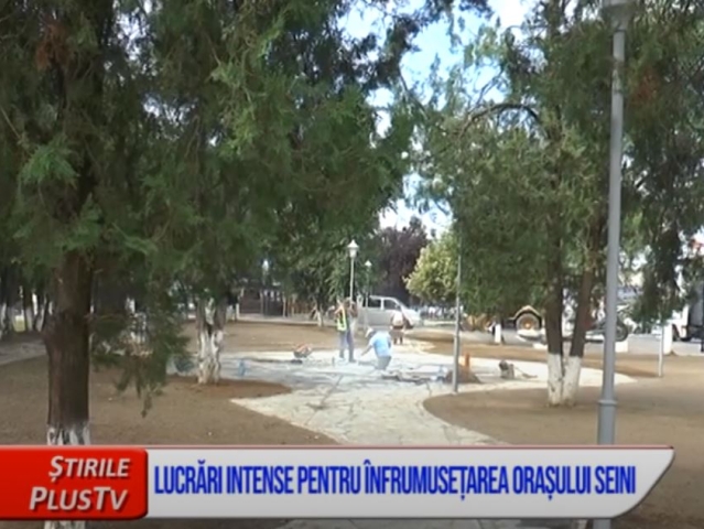 LUCRĂRI INTENSE PENTRU ÎNFRUMUSEȚAREA ORAȘULUI SEINI