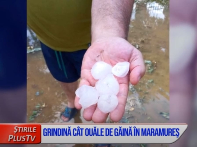 GRINDINĂ CÂT OUĂLE DE GĂINĂ, ÎN MARAMUREŞ