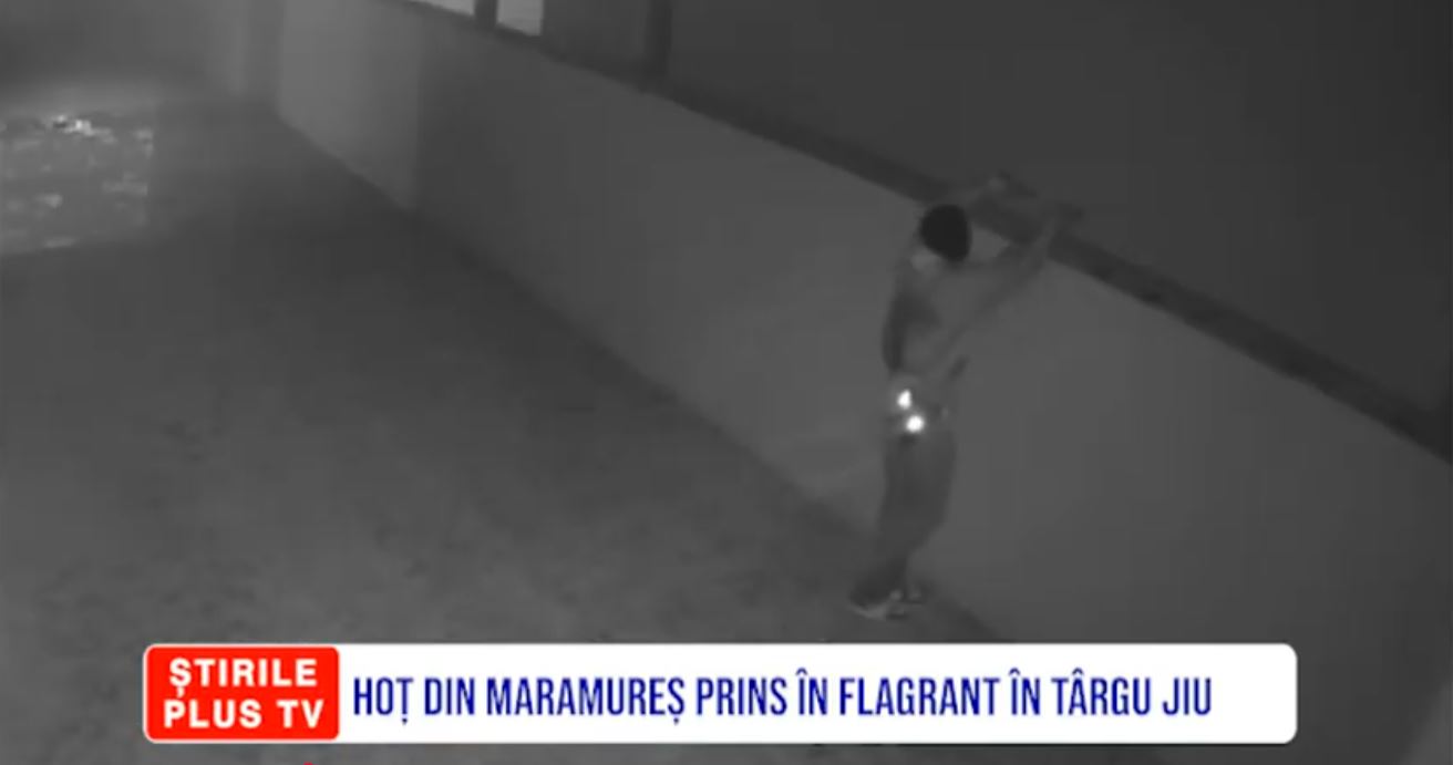 HOȚ DIN MARAMUREȘ, PRINS ÎN FLAGRANT ÎN TÂRGU JIU