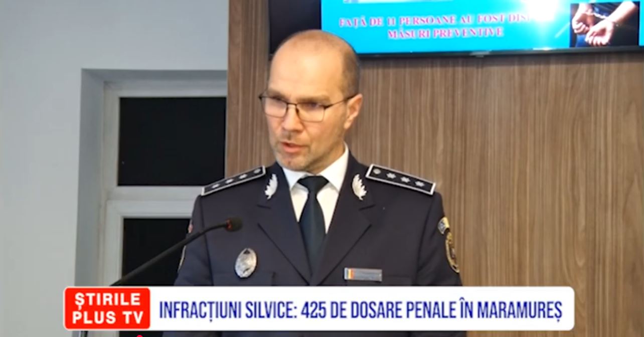 INFRACȚIUNI SILVICE: 425 DE DOSARE PENALE ÎN MARAMUREȘ