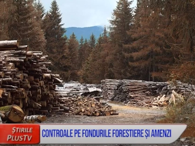 CONTROALE ÎN FONDUL FORESTIER ȘI AMENZI