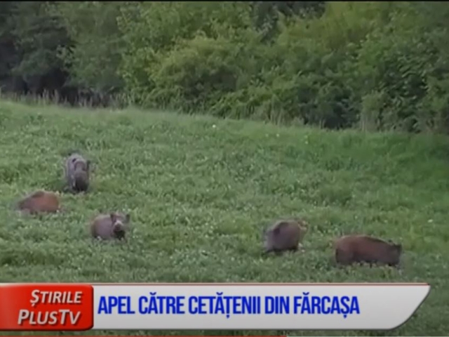 APEL CĂTRE CETĂȚENII DIN FĂRCAȘA