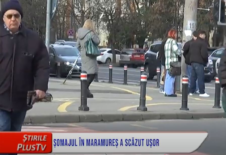 MULȚI ȘOMERI ÎN MEDIUL RURAL