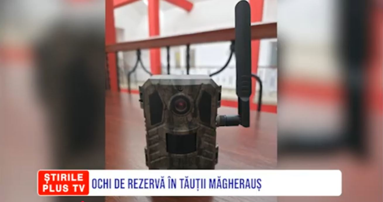 OCHI DE REZERVĂ ÎN TĂUȚII MĂGHERAUȘ