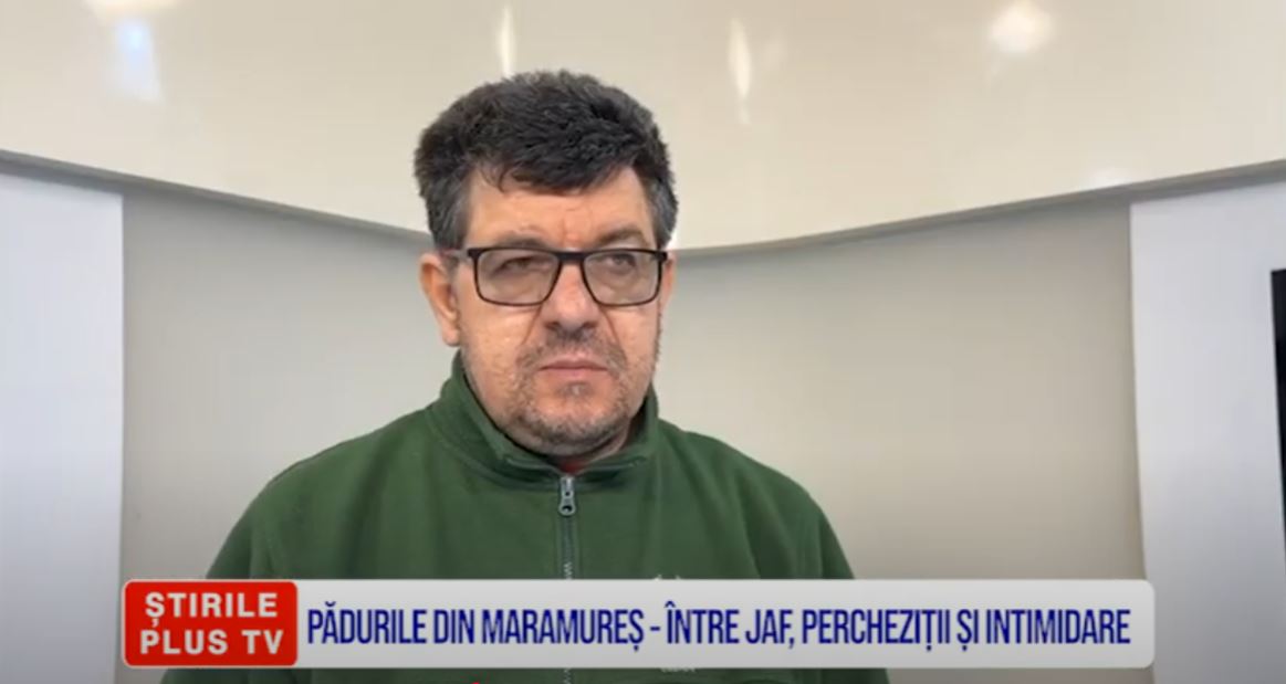 PĂDURILE DIN MARAMUREȘ - ÎNTRE JAF, PERCHEZIȚII ȘI INTIMIDARE