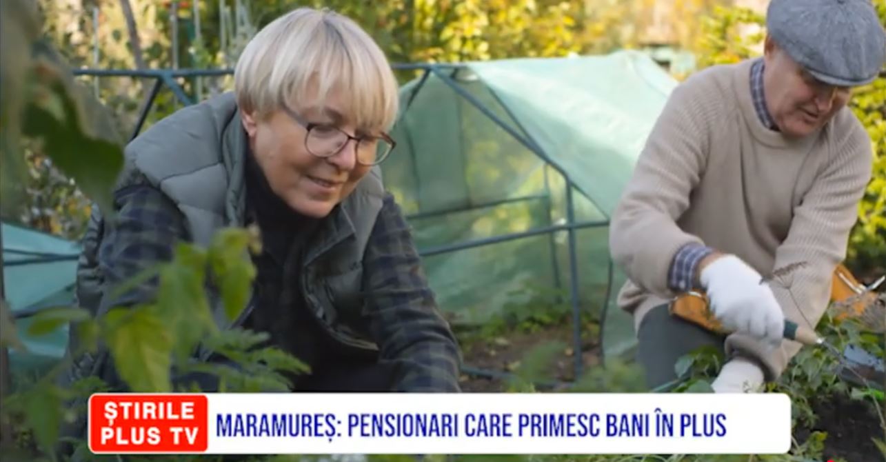 MARAMUREȘ: PENSIONARI CARE PRIMESC BANI ÎN PLUS