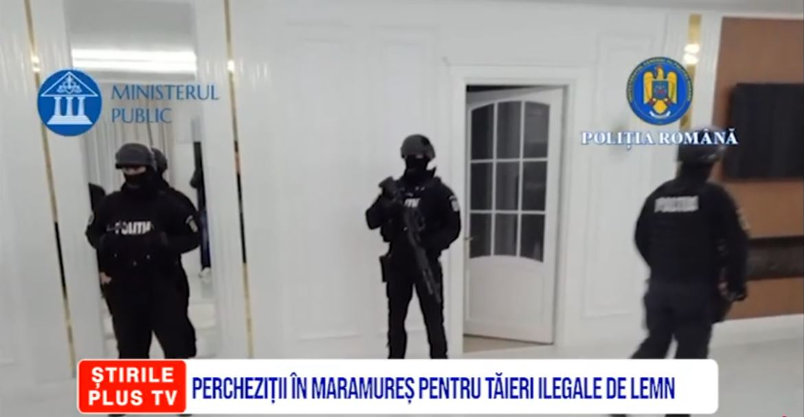 PERCHEZIȚII ÎN MARAMUREȘ PENTRU TĂIERI ILEGALE DE LEMN