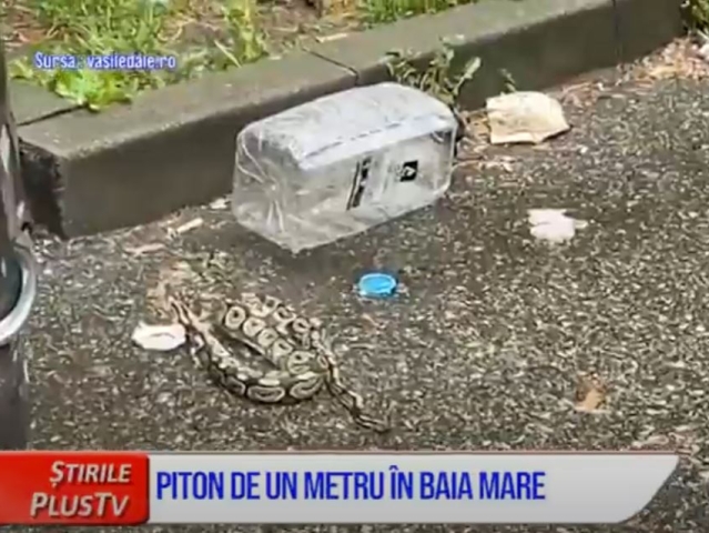 ȘTIRI SCURTE 31 MARTIE