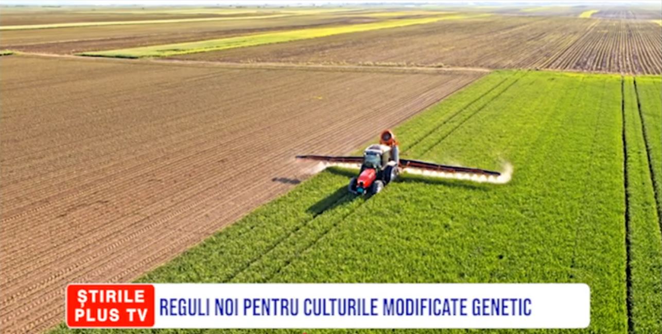 REGULI NOI PENTRU CULTURILE MODIFICATE GENETIC