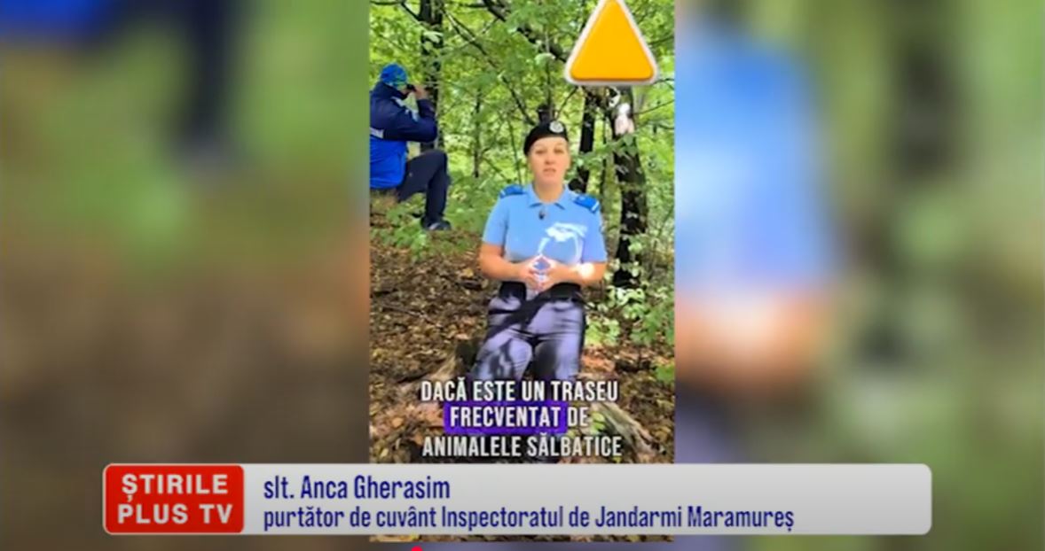 SFATURI PENTRU CULEGĂTORII DE CIUPERCI