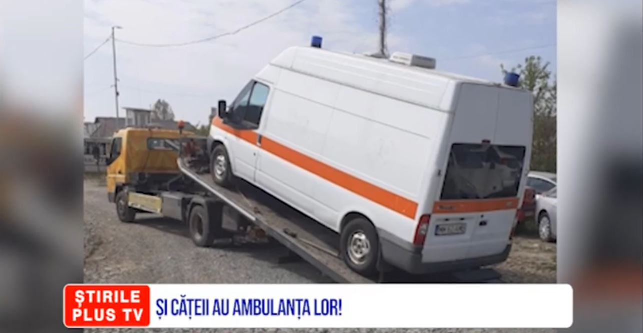 ȘI CĂȚEII AU AMBULANȚA LOR!