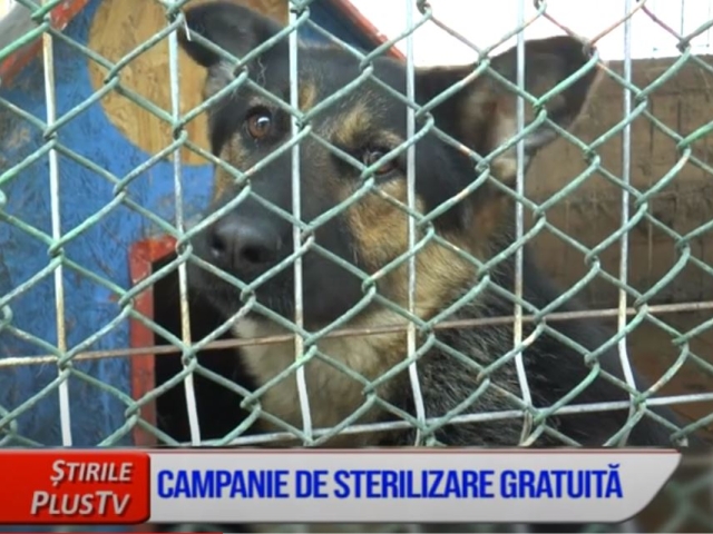CAMPANIE DE STERILIZARE GRATUITĂ