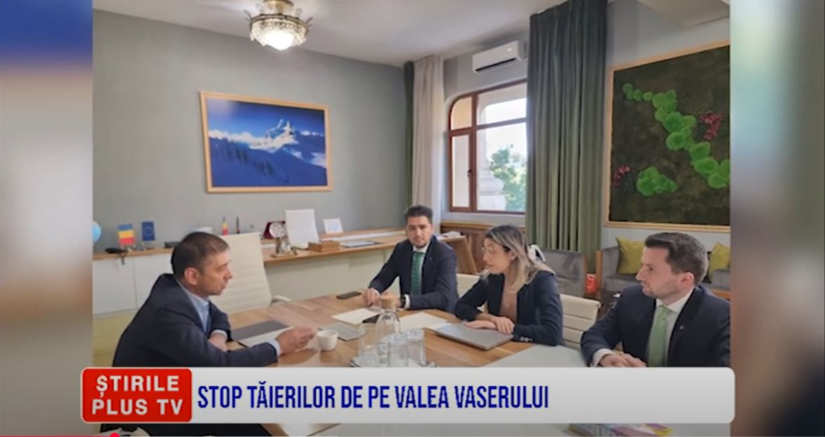 STOP TĂIERILOR DE PE VALEA VASERULUI