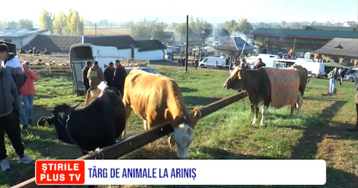 TÂRG DE ANIMALE LA ARINIȘ