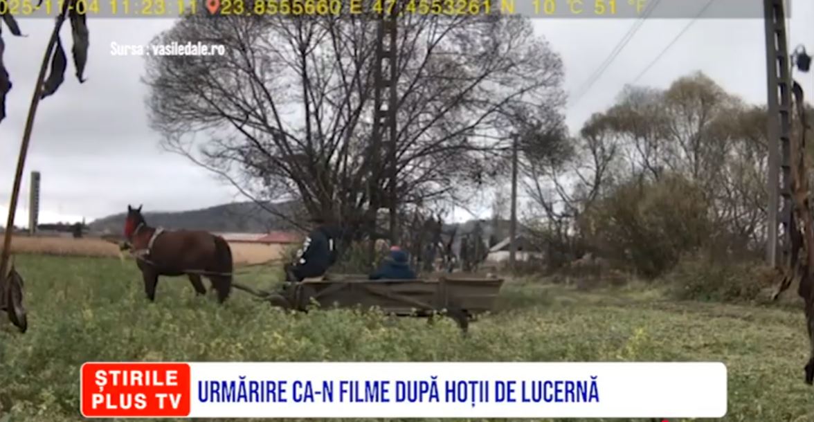 URMĂRIRE CA-N FILME DUPĂ HOȚII DE LUCERNĂ